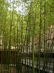 P7050014.jpg